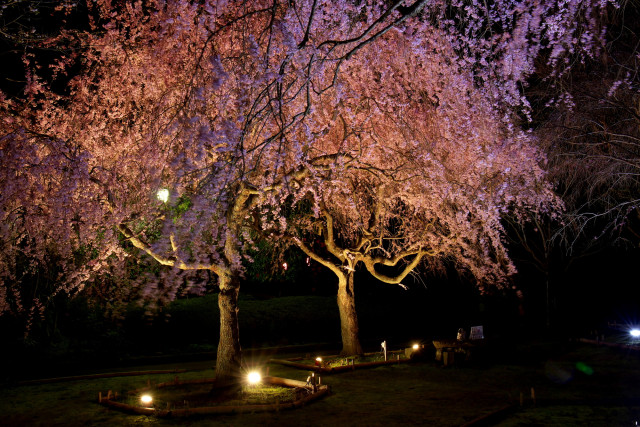 荒井城址公園